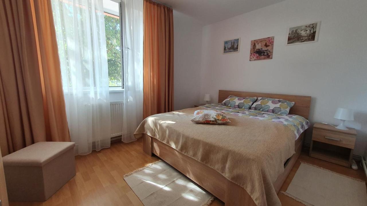 Apartment Cozy Orsova